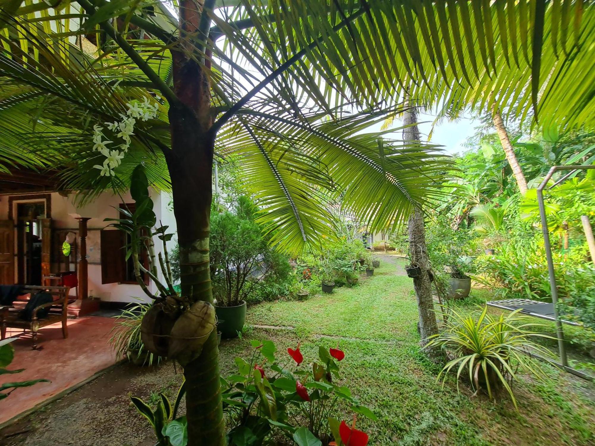 Hill Side Kings Villa Hikkaduwa Dış mekan fotoğraf