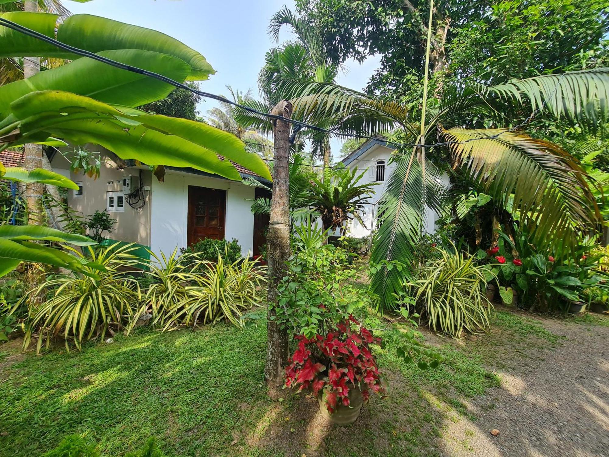 Hill Side Kings Villa Hikkaduwa Dış mekan fotoğraf